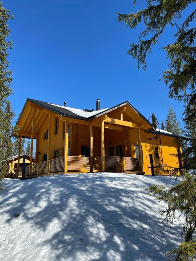 Lapland Dream Villas Rauhala 외부 사진
