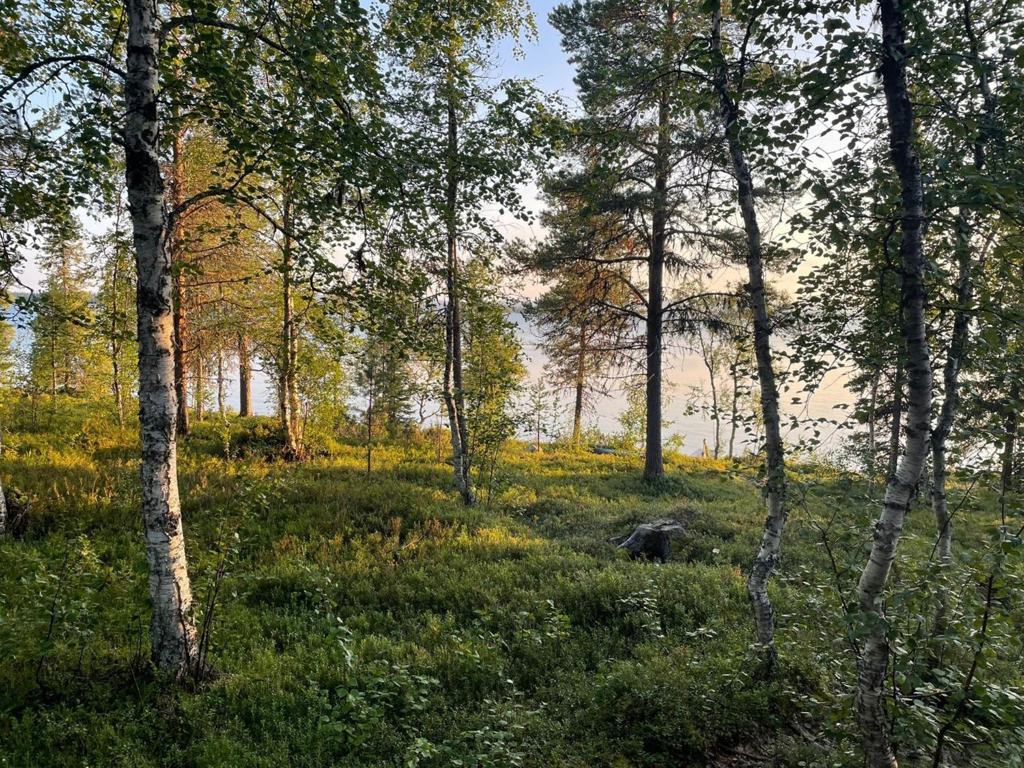 Lapland Dream Villas Rauhala 외부 사진