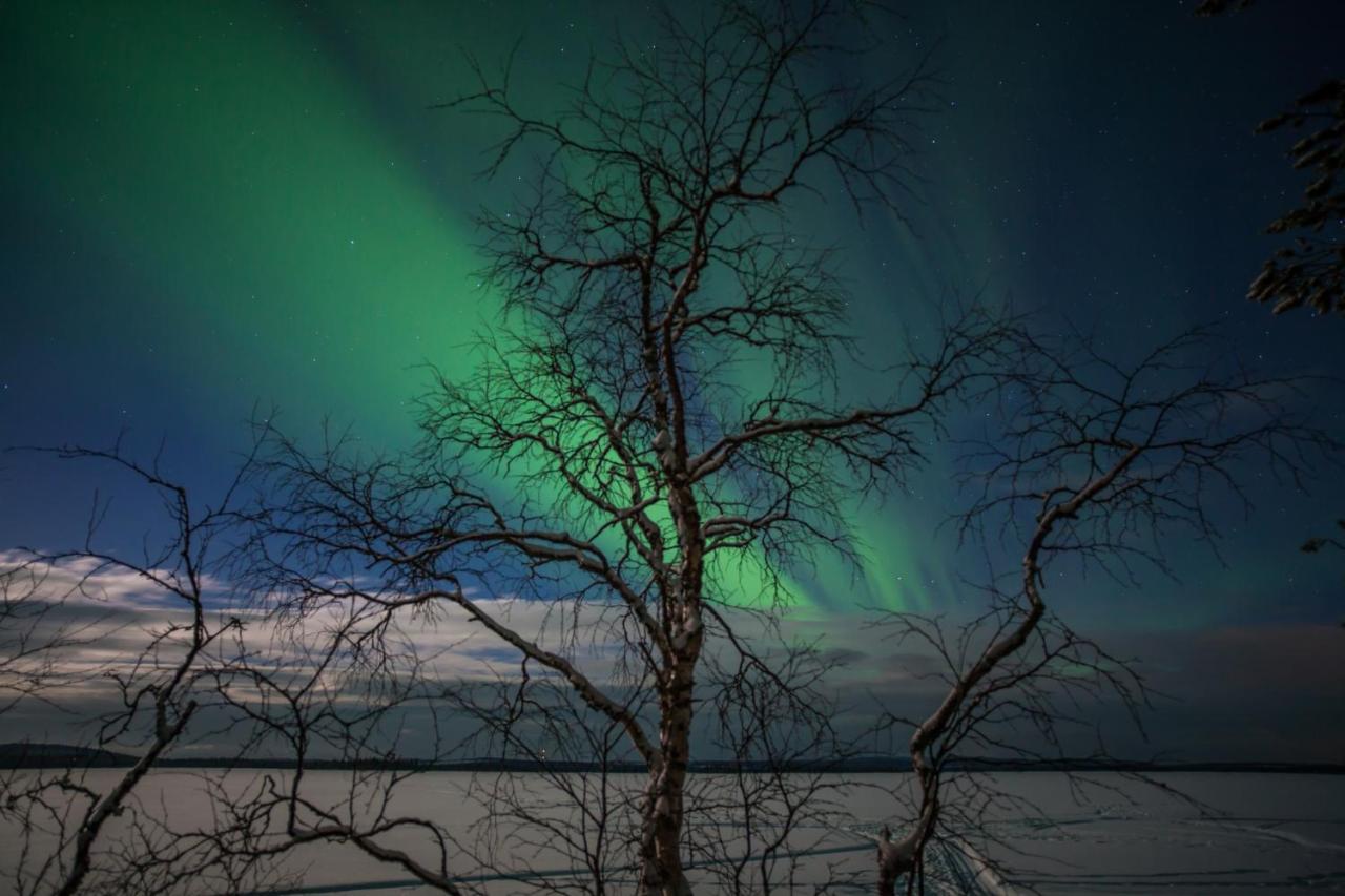 Lapland Dream Villas Rauhala 외부 사진