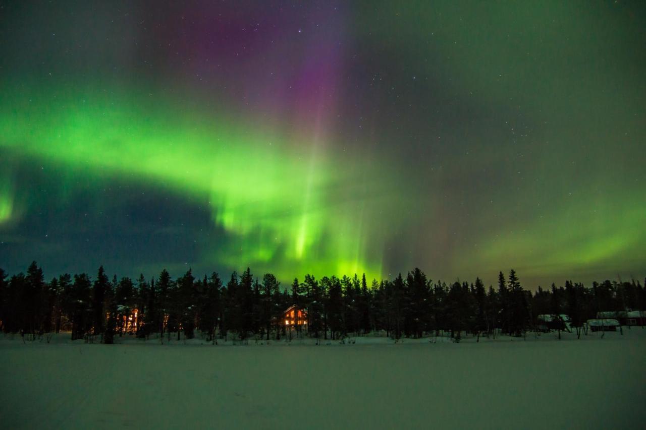 Lapland Dream Villas Rauhala 외부 사진