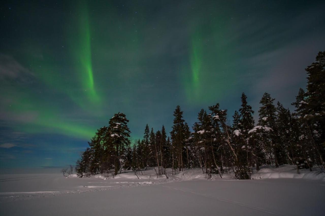 Lapland Dream Villas Rauhala 외부 사진