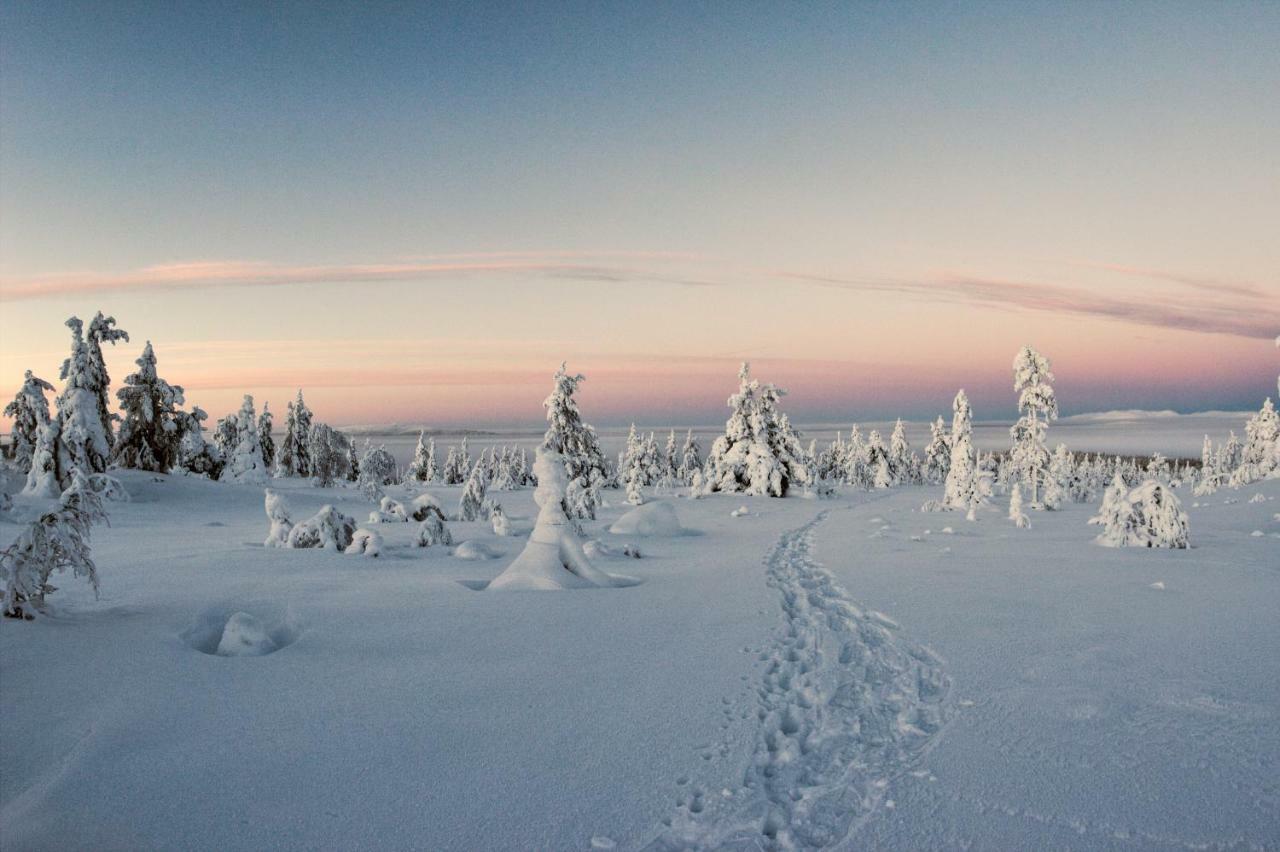 Lapland Dream Villas Rauhala 외부 사진